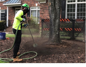 A person spraying a tree