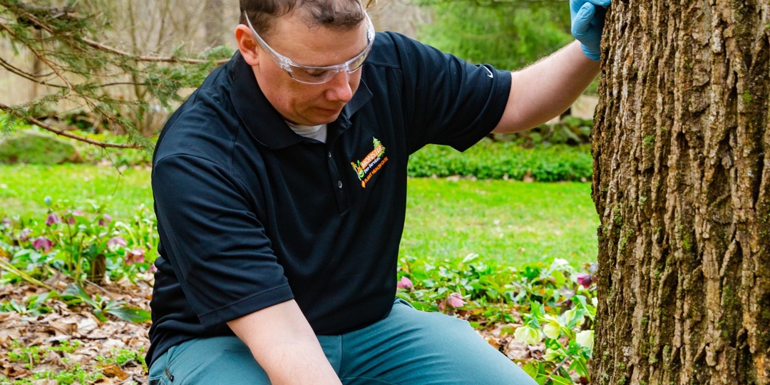 Monster Tree Service Image