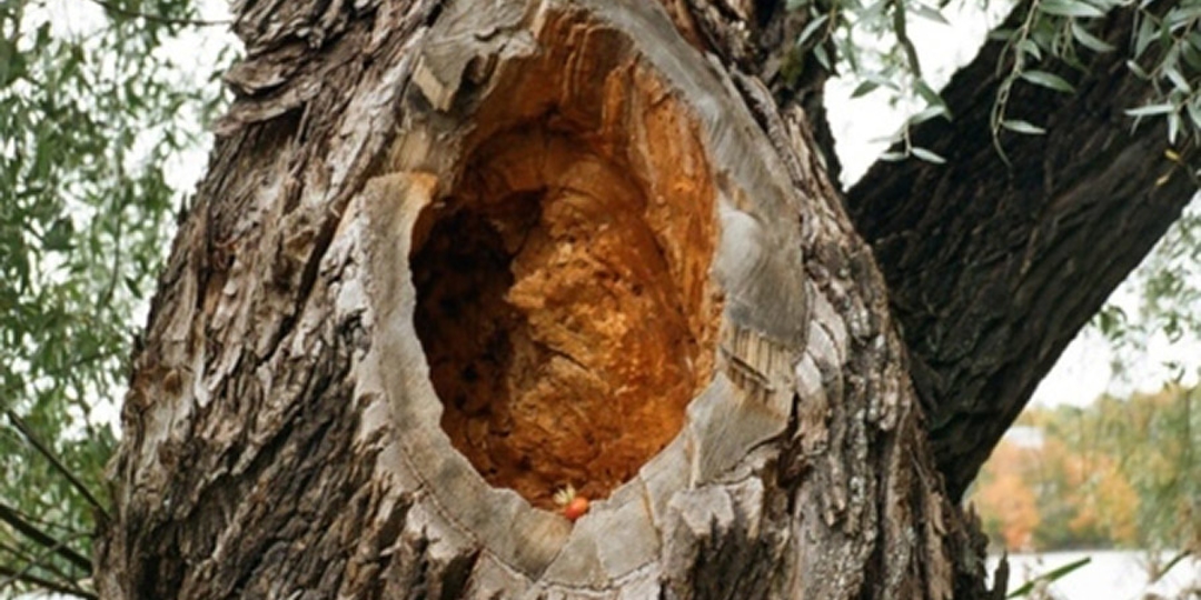 Monster Tree Service