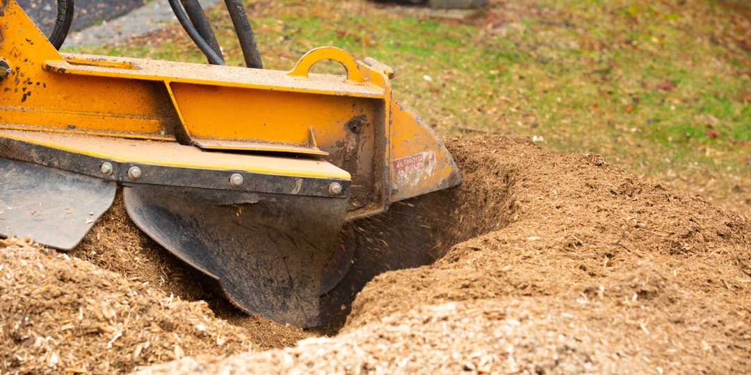 Monster Tree Service Image