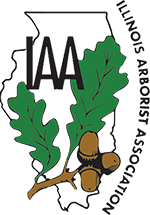 IAA Member