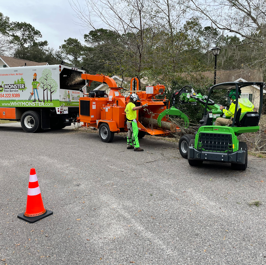 Reasons You Might Need An Emergency Tree Removal Service